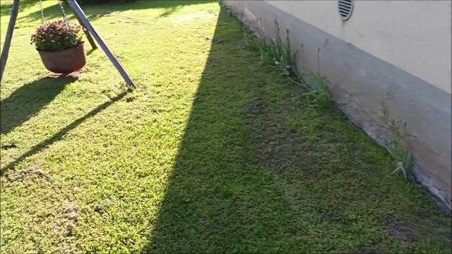 Улучшения участка продолжаются