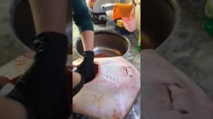 GÜZEL BÜYÜK BİR VATOS BALIĞI ! Mорской СКАТ из Средиземного моря. разделка ската.