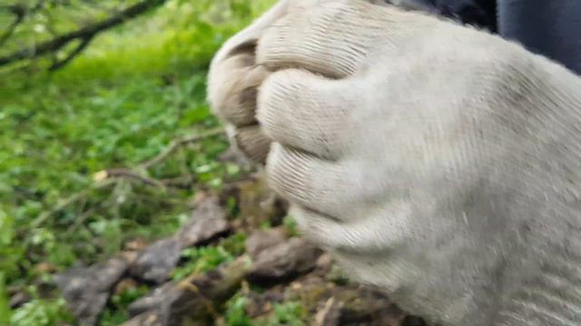 ШУРФИМ ФУНДУК С ПРОШЛОГО ВЫЕЗДА! БИЛОН В УГЛУ! ДВУШКА ЕЛИЗАВЕТЫ В СОВЕТСКОМ ДОМЕ! КОП С X-TERRA 705 смотреть онлайн