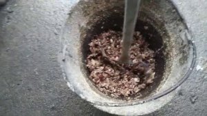 Секач для измельчения овощей на корм. Рубит все!