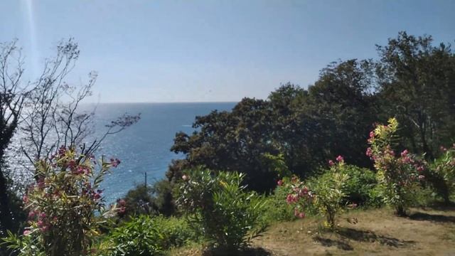 Островок в открытом море, мне подаренный судьбой (16.09.2023) смотреть онлайн