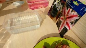 Размножение ЛИЛИЙ чешуйками. СУПЕР способ