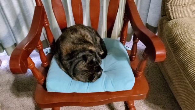 Sleeping Beauty Malibu смотреть онлайн