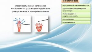 Свойства живого
