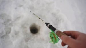 Налим после нереста, февраль 2020. Рыбалка на налима на реке Кама, Нижнекамск. Удочка на налима