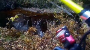 Двухэтажная изба в тайге петардой напугал Медведя насрал не далеко от нас часть1 Ловля хариуса осен