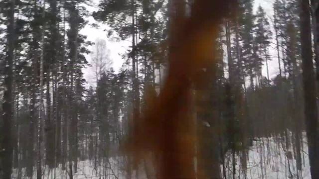 Кто такие туристы