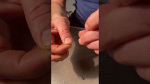 Монтаж. Жерлица на форель с двумя крючками.