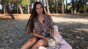 Поездка в Абхазию с собакой. Необходимые документы. |NEW|
