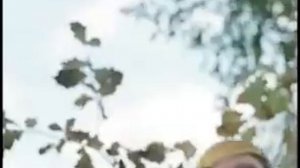 Пёс-барбос и необычный кросс.В обратной перемотке. Смешное видео.