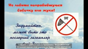 Будь природе другом!