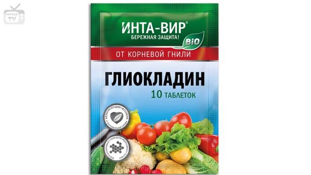 Чем обрабатывать грунт для рассады? ? Марганцовка, био препараты, пропаривание ? Советы эксперта смотреть онлайн