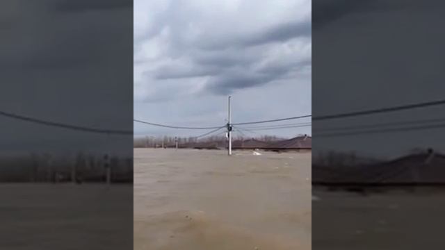 В Оренбургской области сейчас так.