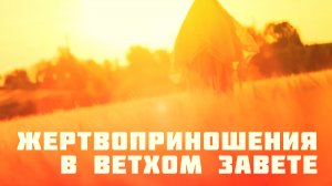 OT6251 Rus 35.  Левит. Жертвоприношения в Ветхом Завете