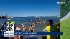 Рекордное число пловцов приняли участие в «Морской миле» в Геленджике