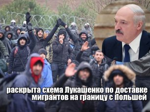 раскрыта схема Лукашенко по доставке мигрантов на границу с Польшей
