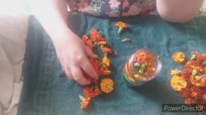 Бархатцы при больной поджелудочной. Масло из бархатцев