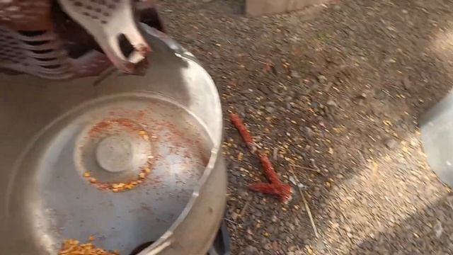 приспособление для кукурузы смотреть онлайн