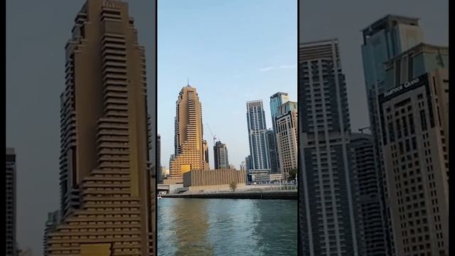 DUBAI MARINA /// ПЕРСИДСКИЙ ЗАЛИВ.#shorts