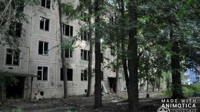 Волонтёр