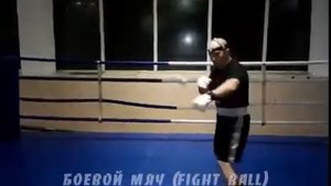 Файт Бол как тренироваться. Файт Бол (Fight Ball) - для чего.