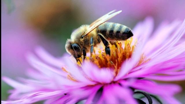 Диктант для 2 класса "В роще" с проверкой смотреть онлайн
