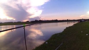 Ловля окуня фидер, рыбалка на пруду, рыбалка в Марий Эл,