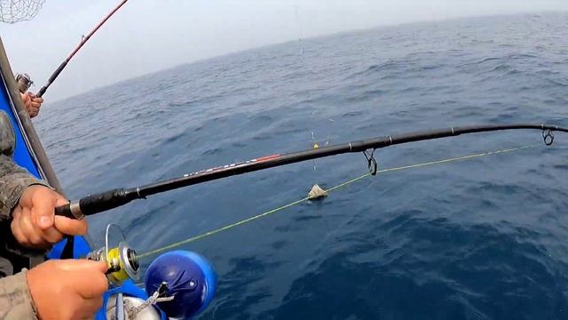 На безрыбье и камбала рыба! смотреть онлайн