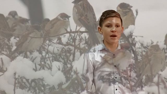 Стихотворение «Поет зима – аукает…» С. Есенина читает М. Решетников смотреть онлайн