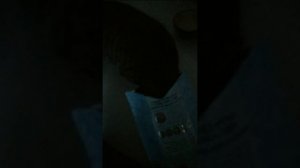 Не хочу включать свет уже спим а малыши хулиганят