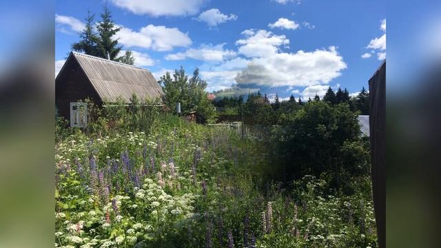 Дача СНТ Фролово Сергиево-Посадский район смотреть онлайн
