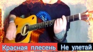 Красная плесень _ Не улетай. Кавер под гитару.