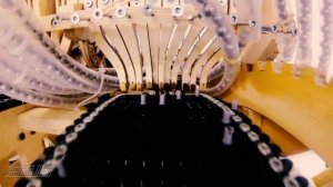 В. Цой - Волчий вой да лай собак