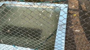 ГУРЬЕВСК (Калининградская область): СТОИТ ли ПЕРЕЕЗЖАТЬ? ПОЛНЫЙ обзор ГОРОДА.