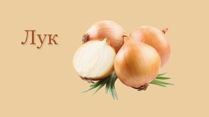 Карточки Домана - ОВОЩИ