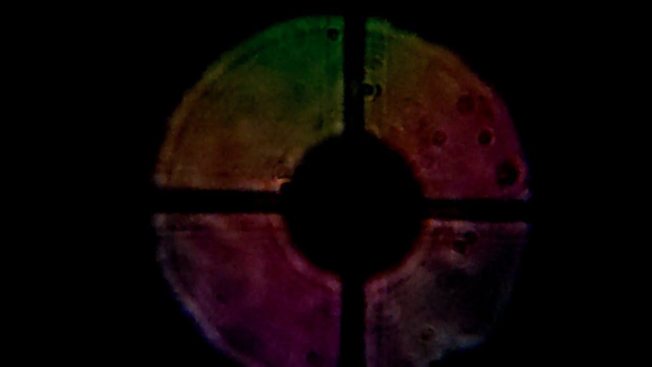 03.03.2024 Sirius 20:48 msk