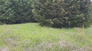 Storm Aftermath. Someone was watching me...Future Project? | 12 Stones Ranch