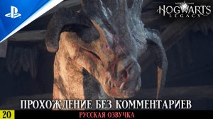 «ОГОНЬ И ЗЛОЙ НРАВ» ✪ РУССКАЯ ОЗВУЧКА - Hogwarts Legacy 🏆 Прохождение Без Комментариев — Часть 20