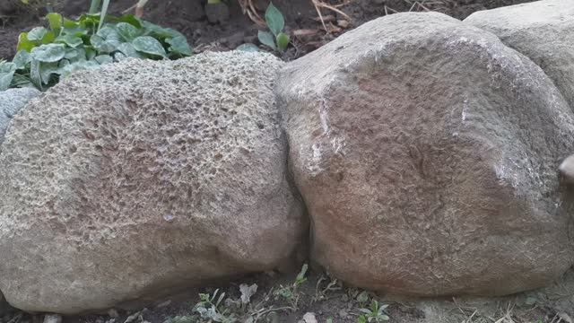 Как сделать бордюры для клумбы? Как обновить запущенную клумбу? смотреть онлайн