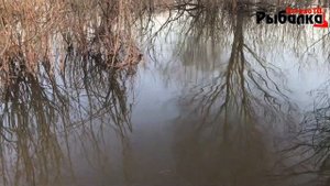 УКЛЕЙКА НА ПОПЛАВОК ВЕСНОЙ.РЫБАЛКА НА ПОПЛАВОК В РУЧЬЕ.