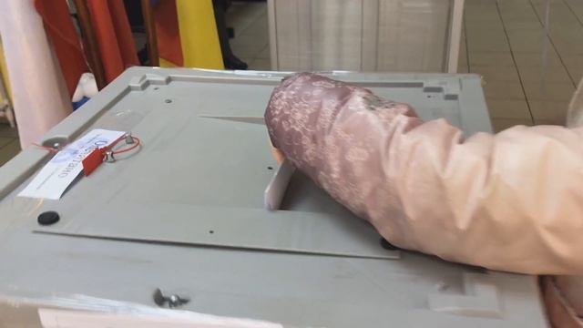 Смирнов рассказал: выборы президента РФ 2018 в Домодедово, выборы участок 401, 402, 403, 404 смотреть онлайн