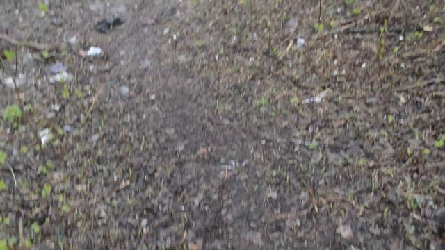 как вешают лапшу на уши! смотреть онлайн