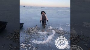 ловля корюшки на махалки. Приморский край бухта Северная Песчанный.