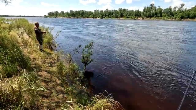 Хариус. Рыбалка выходного дня 10.07.2022. смотреть онлайн