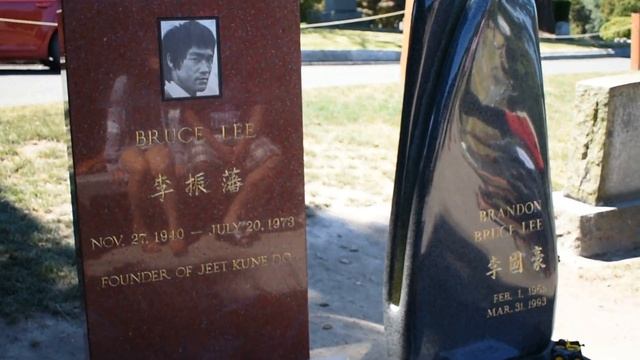 Легенда Брюс Ли ( Bruce Lee). Удар в один дюйм. Брендон Ли (Brandon Lee). Сиэтл, США смотреть онлайн