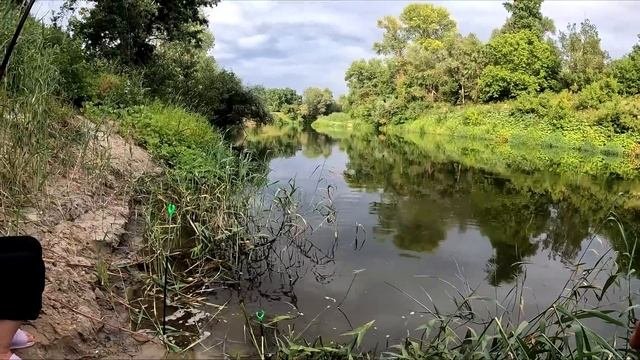 Рыбалка на поплавок