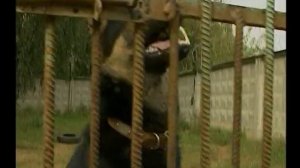 Основы безопасности в быту