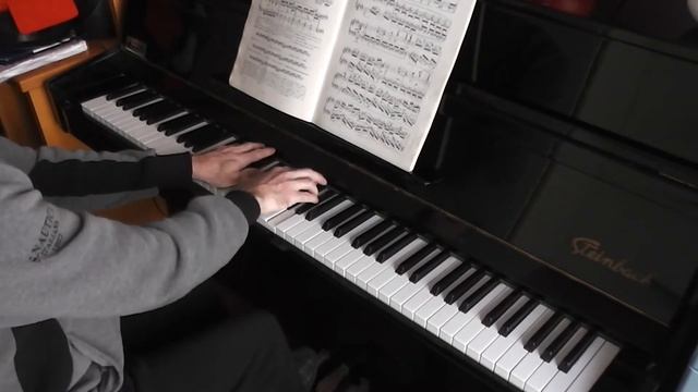 F. Chopin - Etude Op. 10 Nr. 4 - Practice session with metronome - Part 2 смотреть онлайн