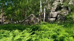 Екатеринбург, гора Азов (в близи Полевского).Поездка на выходных