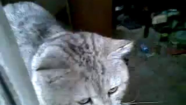 Розамунда и влюблённый Борик 06032018 смотреть онлайн